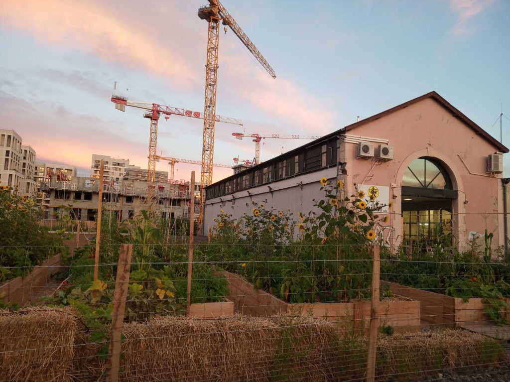 La Halle Girondins, tiers-lieu à Bordeaux, potager et bâtiment | Plateau Urbain