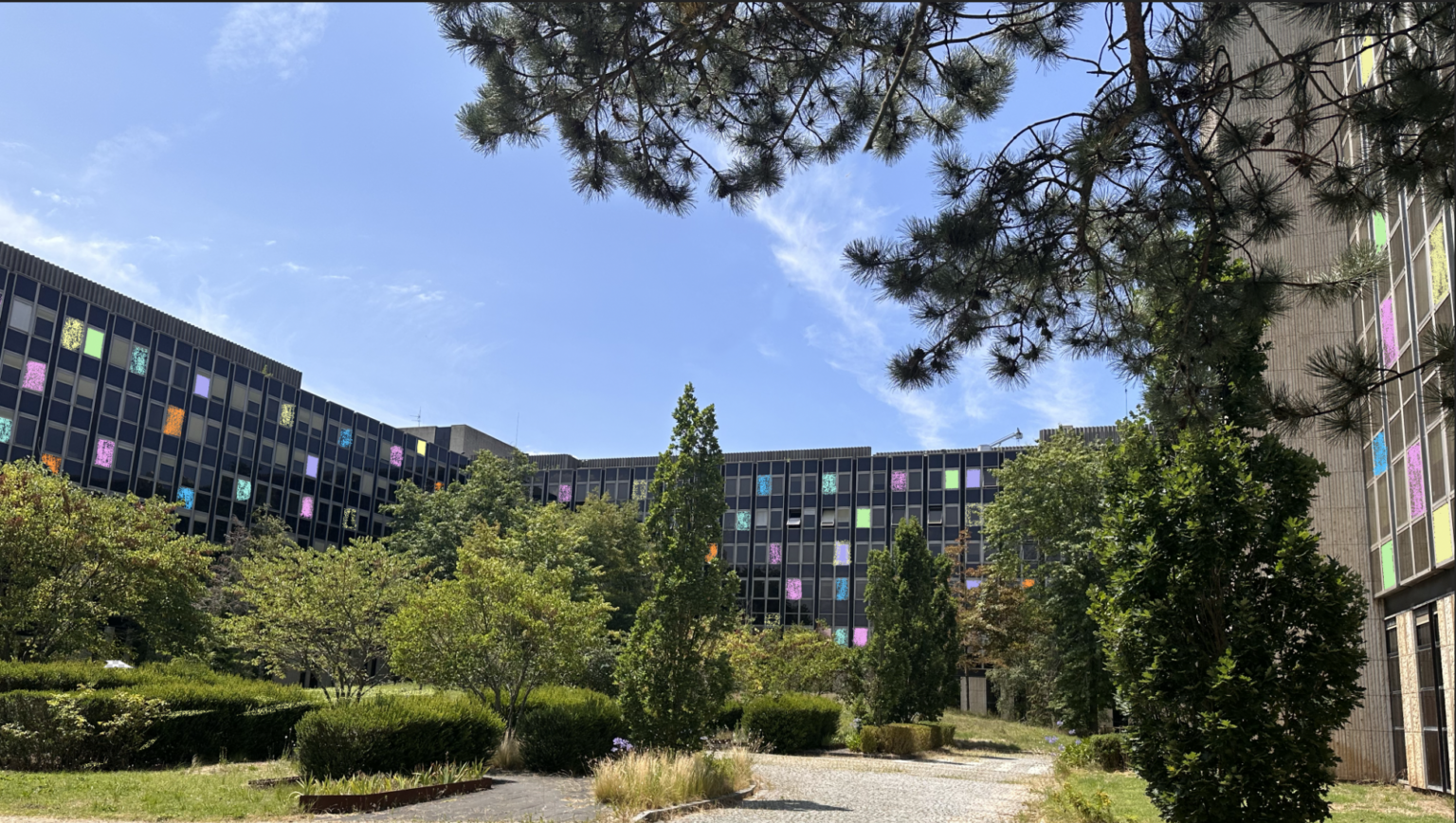 batiment, ciel bleu, pin, fenêtre coloriées