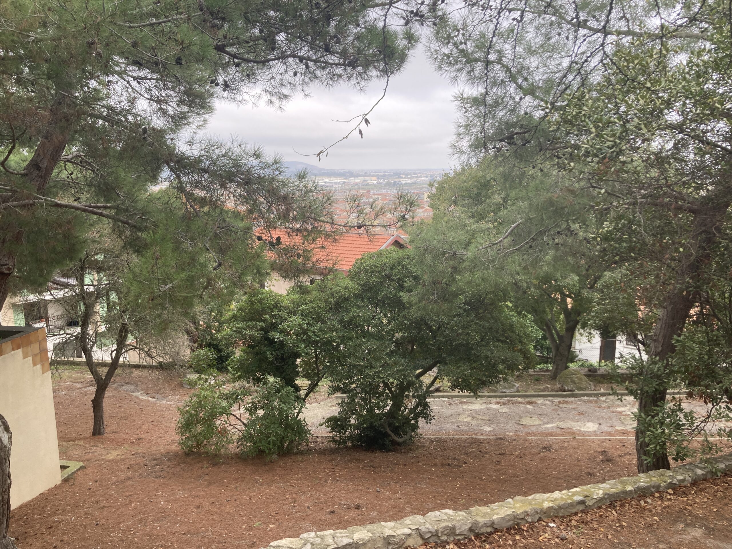 2024-Villa Salis-Sète_3